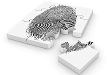 Fingerprint puzzle